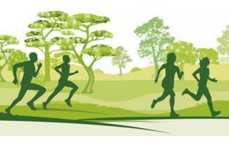 Running/Trail/Cross/Piste