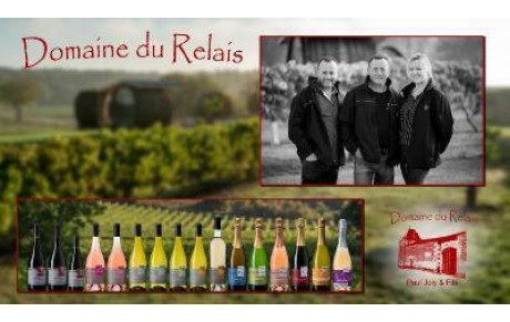 DOMAINE DU RELAIS Vaudelnay